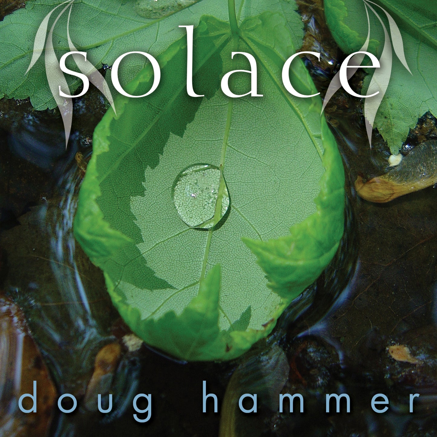 Solace (cd)