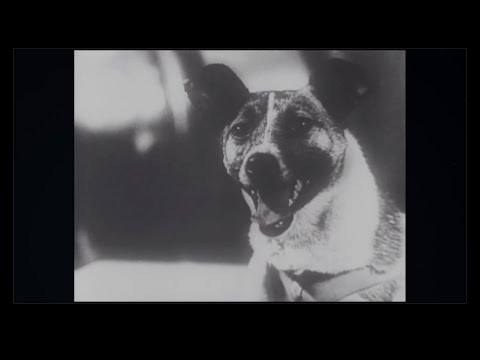 【ラプンツェル様用】LETHAL INJURY / Melancholia Melancholia (2011) - IMDb